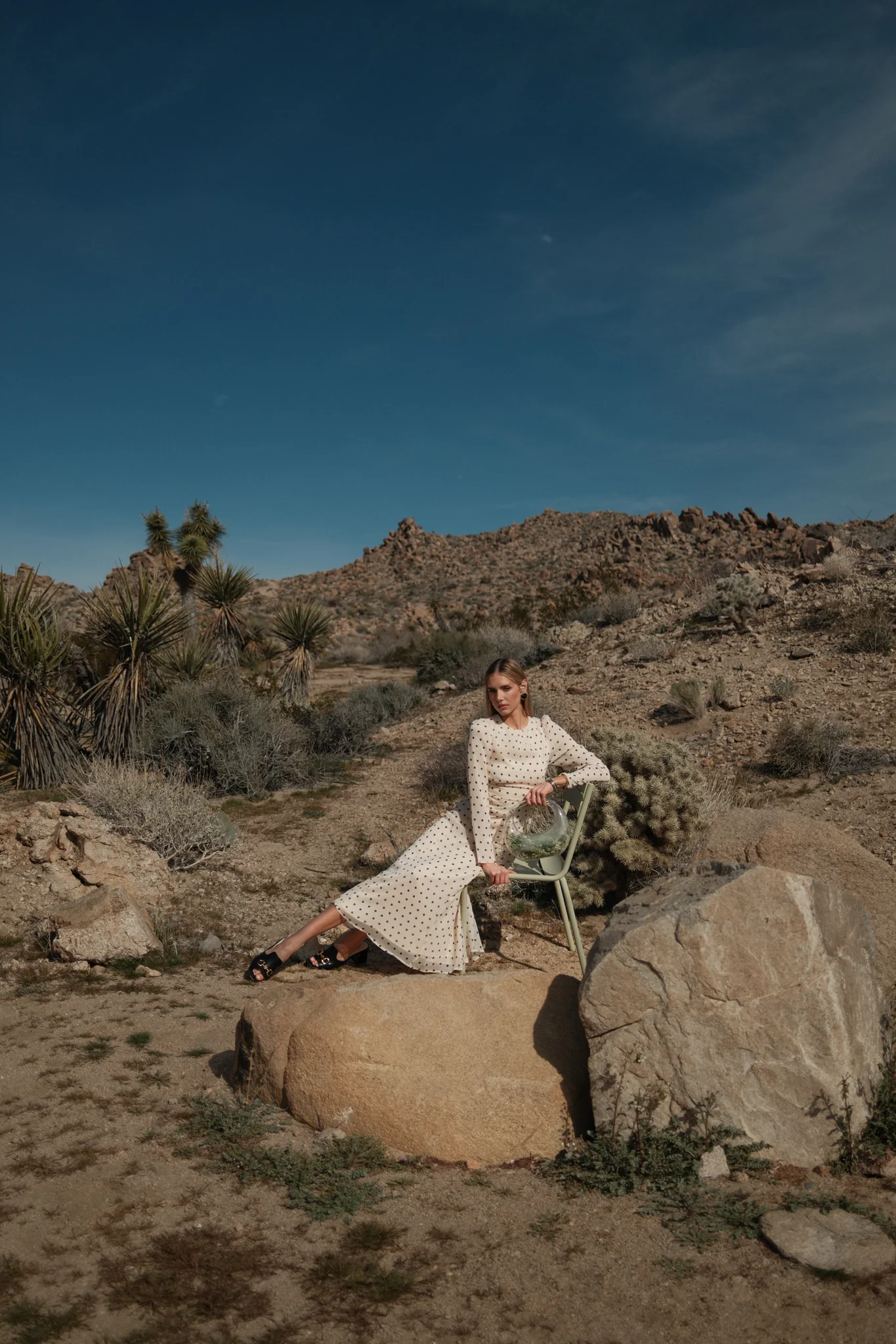 The Becca Dress - Image 22